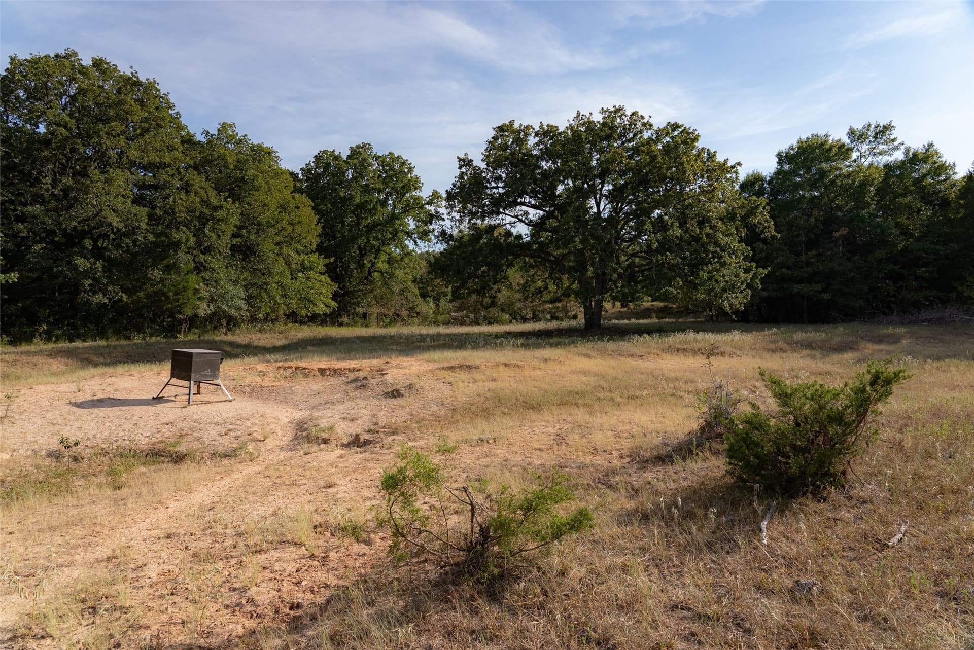71.91 acres in Navarro County - photo 4