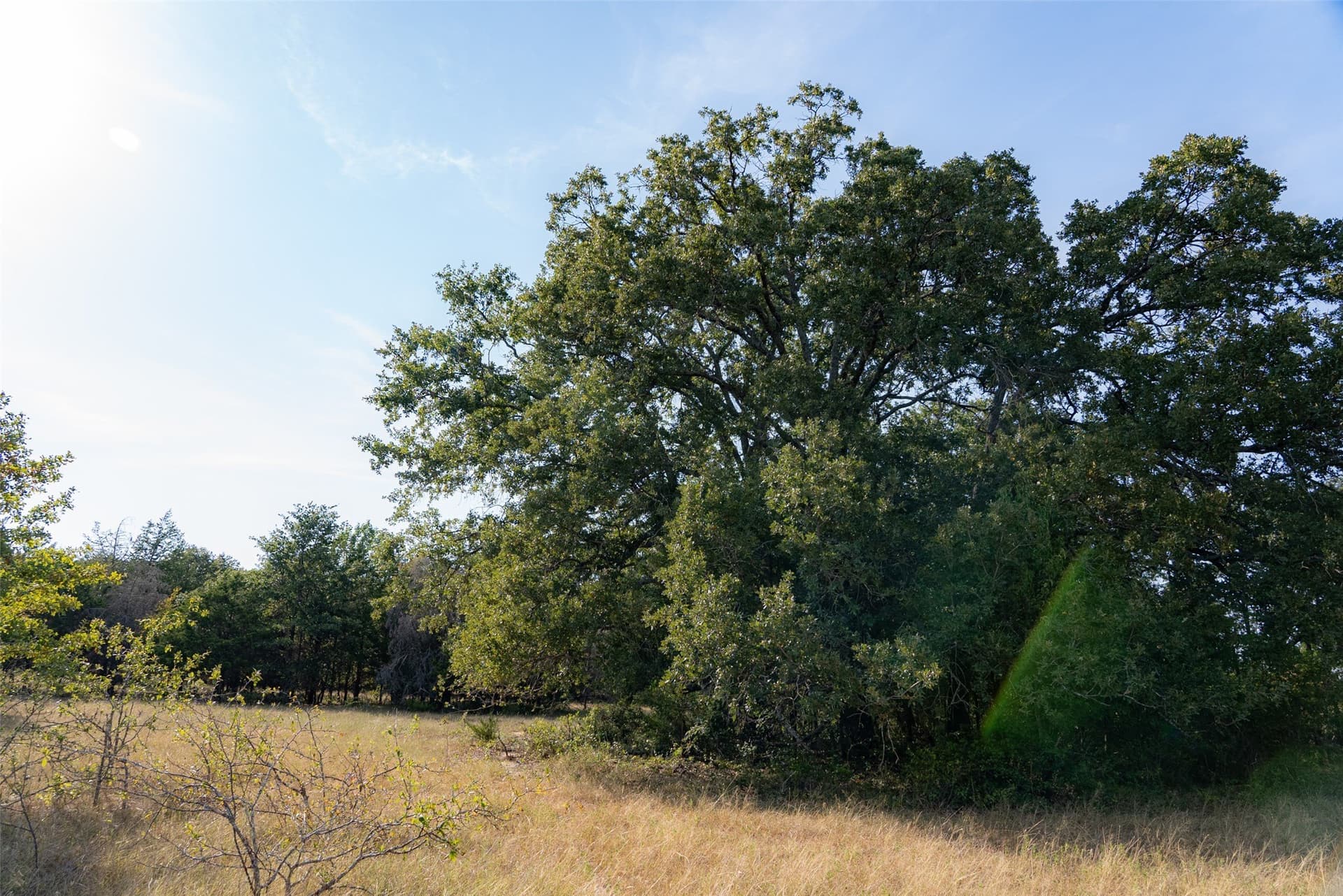 71.91 acres in Navarro County - photo 3
