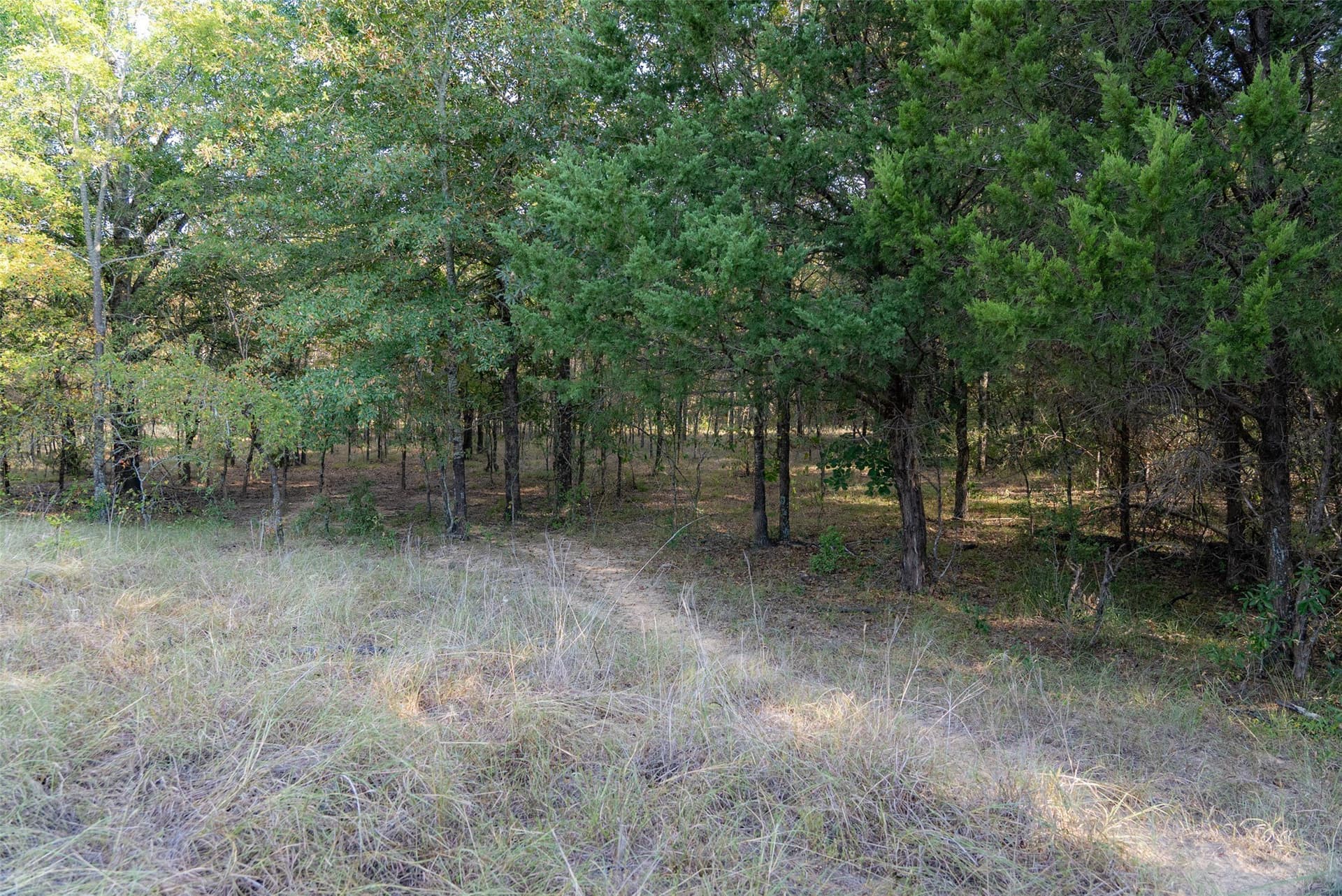 71.91 acres in Navarro County - photo 36