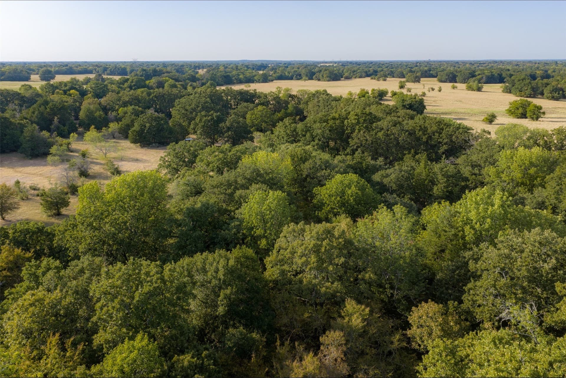 71.91 acres in Navarro County - photo 29