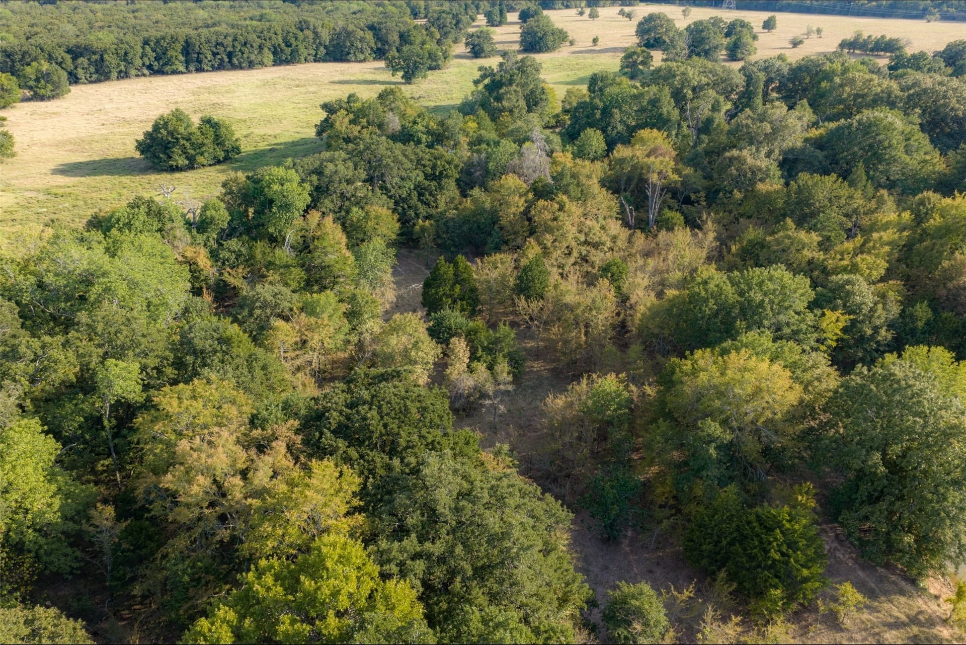71.91 acres in Navarro County - photo 18
