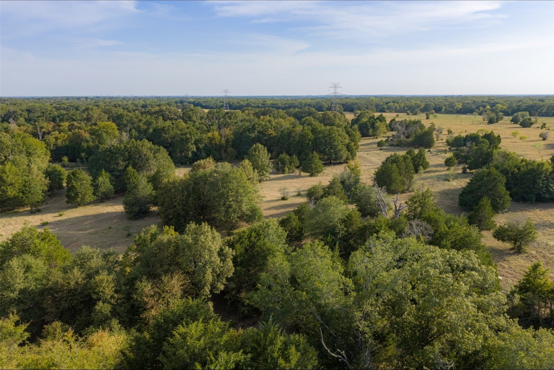 71.91 acres in Navarro County - photo 6