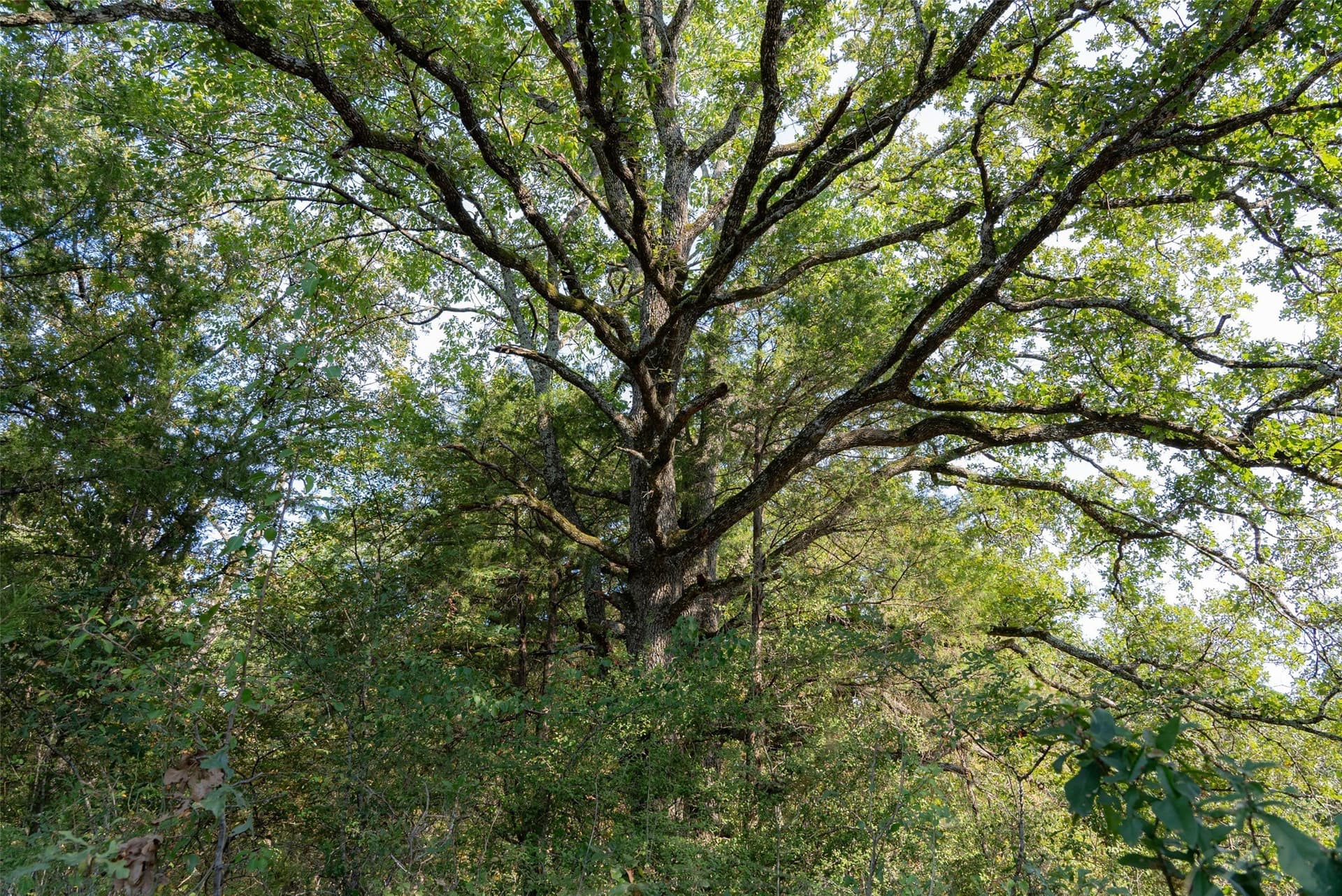 71.91 acres in Navarro County - photo 20