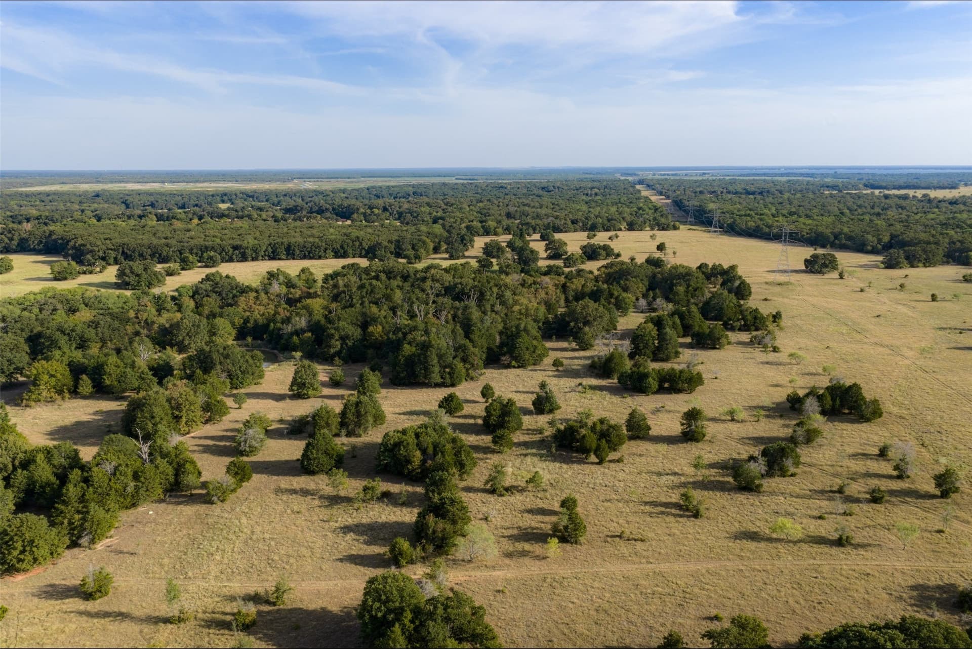 71.91 acres in Navarro County - photo 16