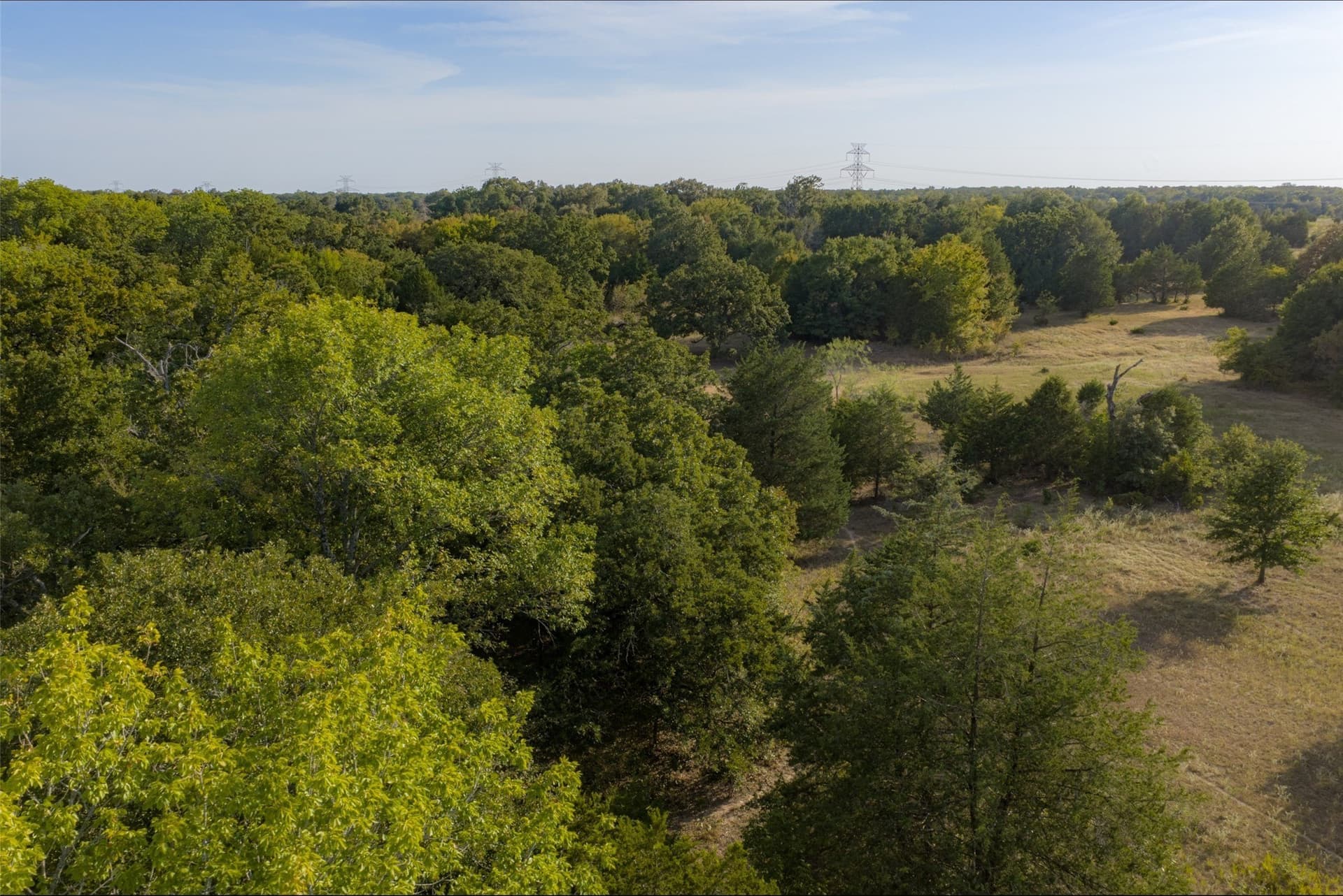 71.91 acres in Navarro County - photo 14