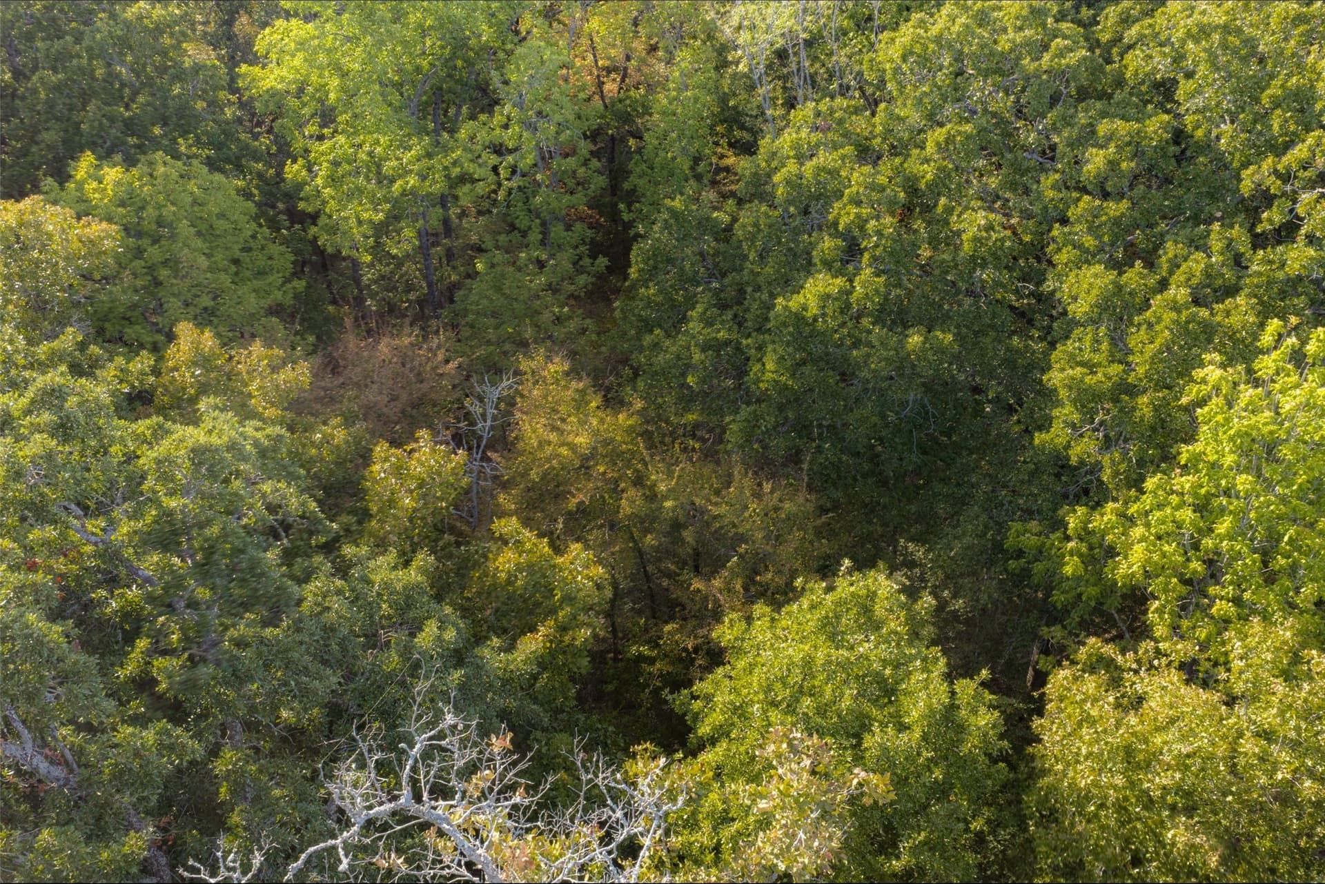 71.91 acres in Navarro County - photo 26