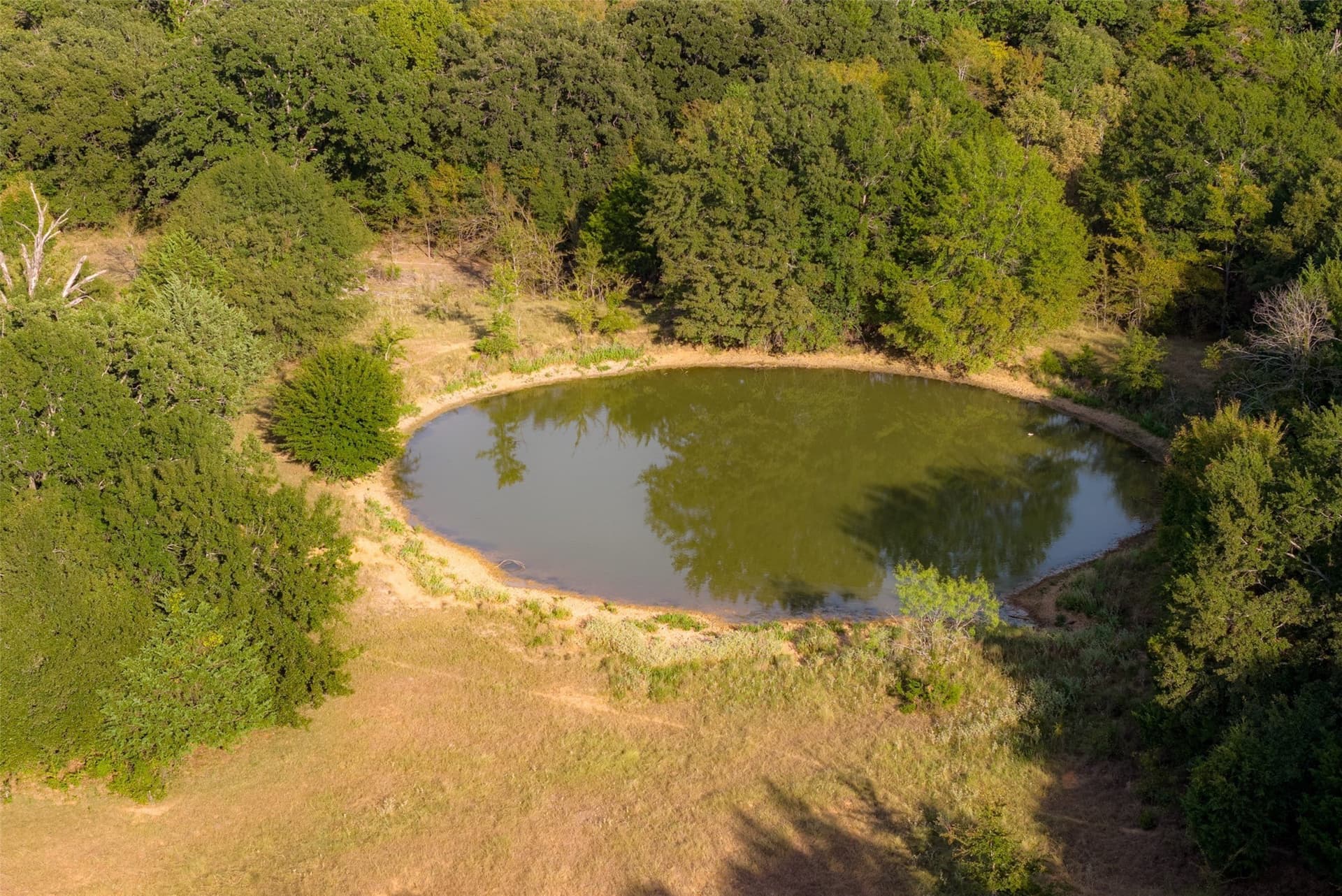 71.91 acres in Navarro County - photo 8