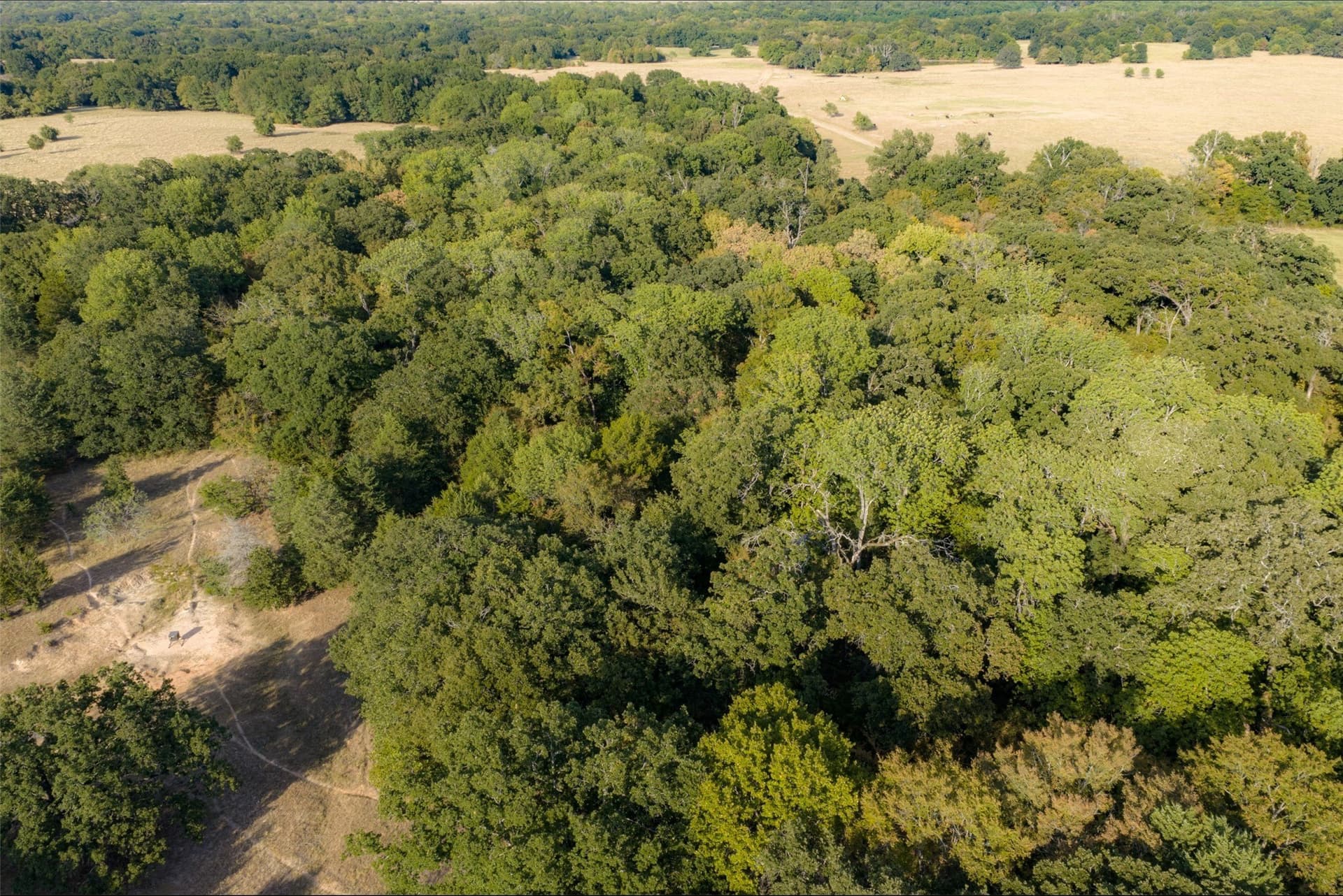 71.91 acres in Navarro County - photo 25