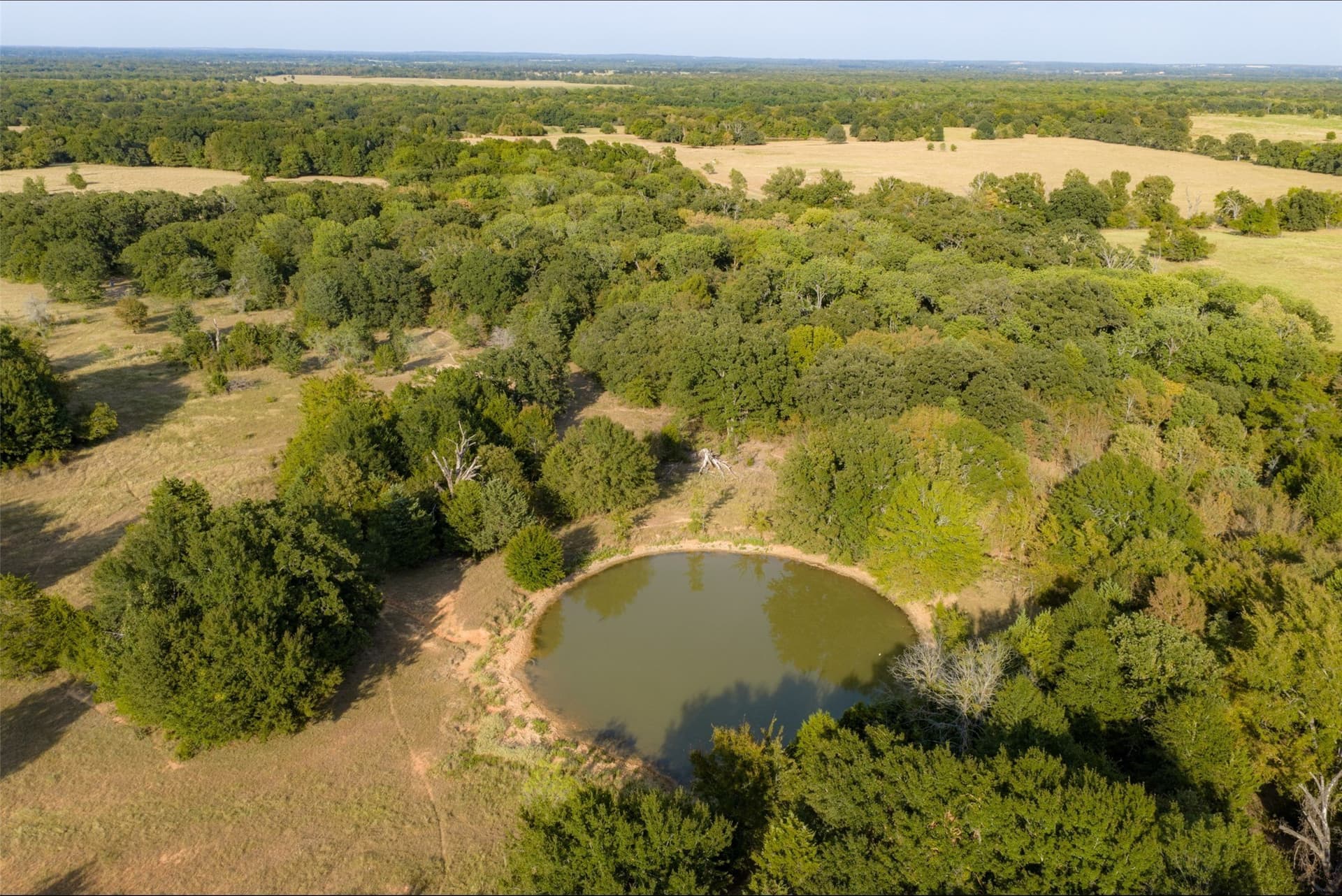 71.91 acres in Navarro County - photo 27