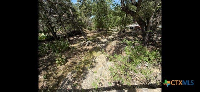 0.26 acres in Comal County - photo 4