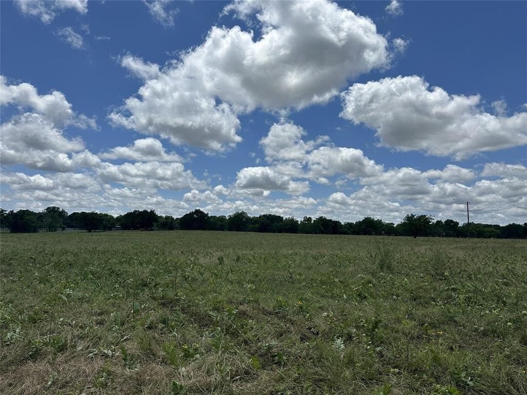 11.8 acres in Cooke County gallery image 4