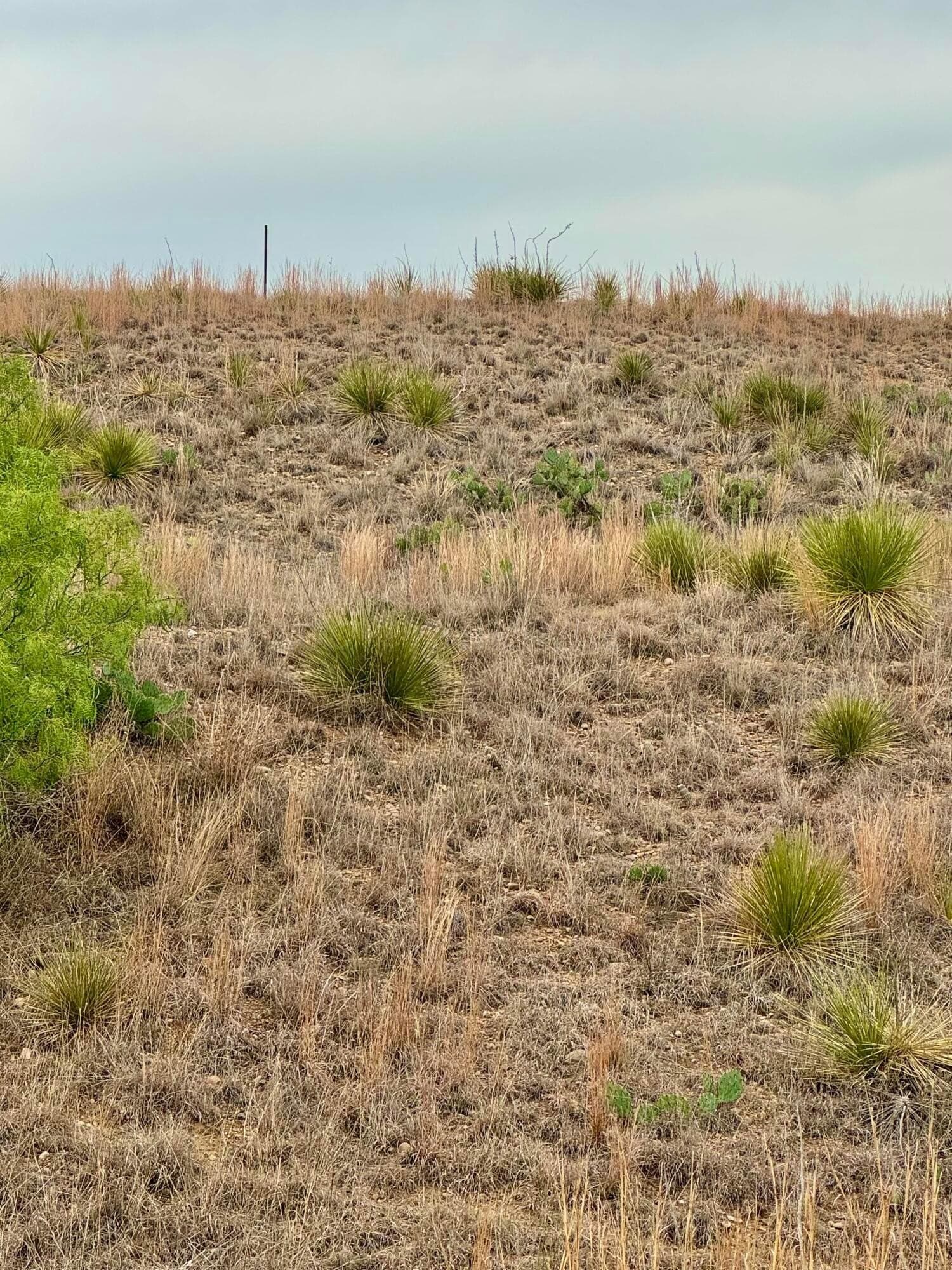 0.36 acres in Hutchinson County gallery image 4