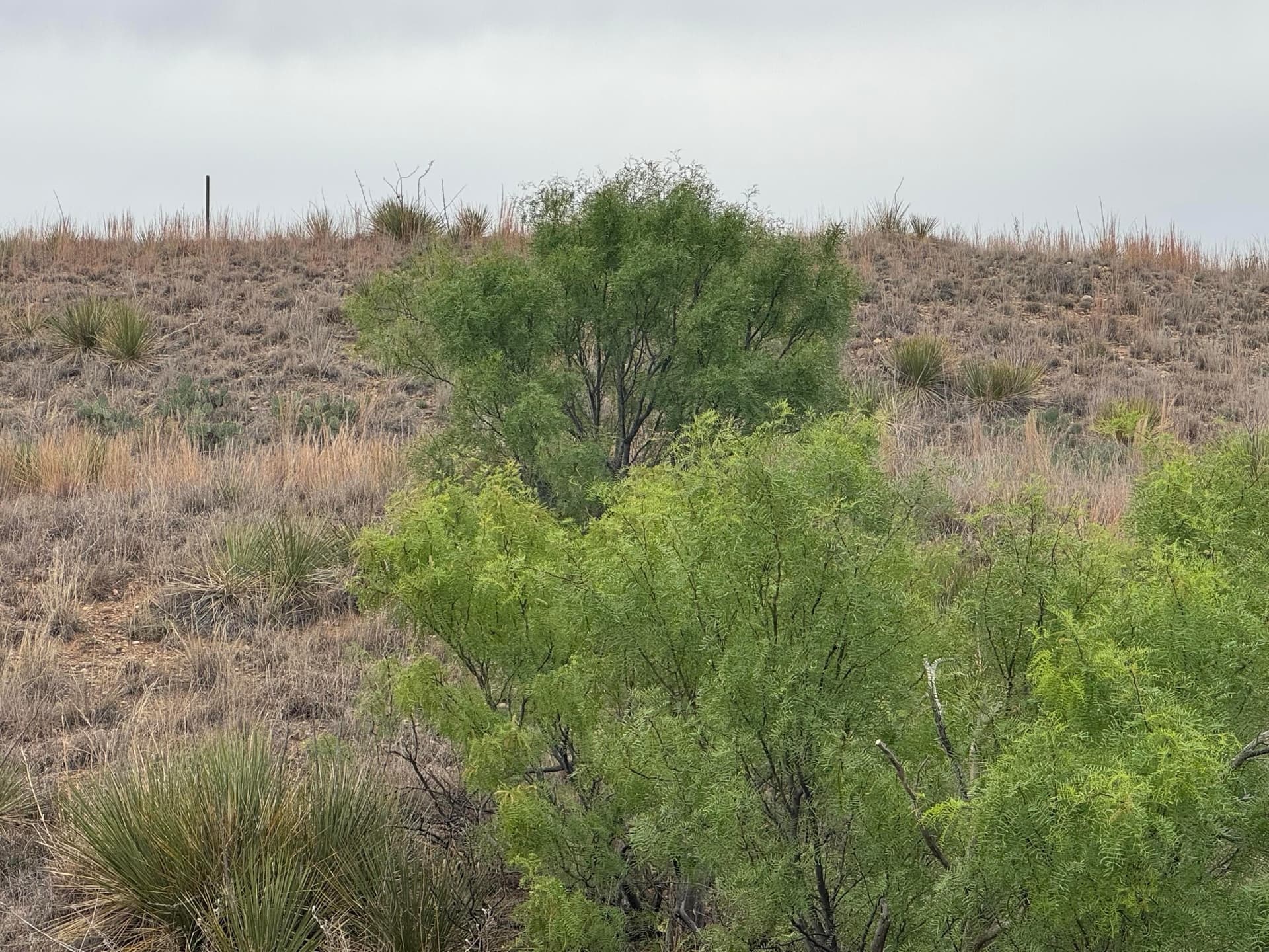 0.36 acres in Hutchinson County featured view