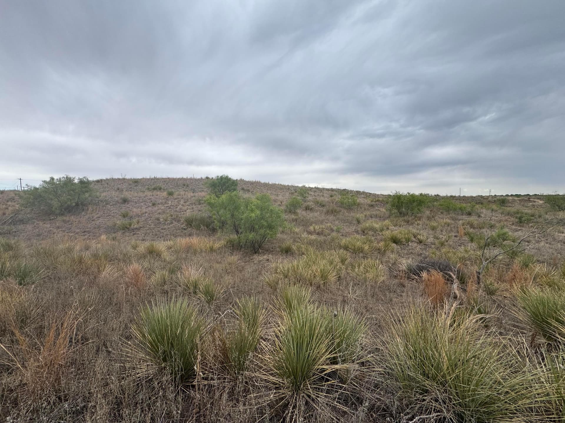0.36 acres in Hutchinson County - photo 6