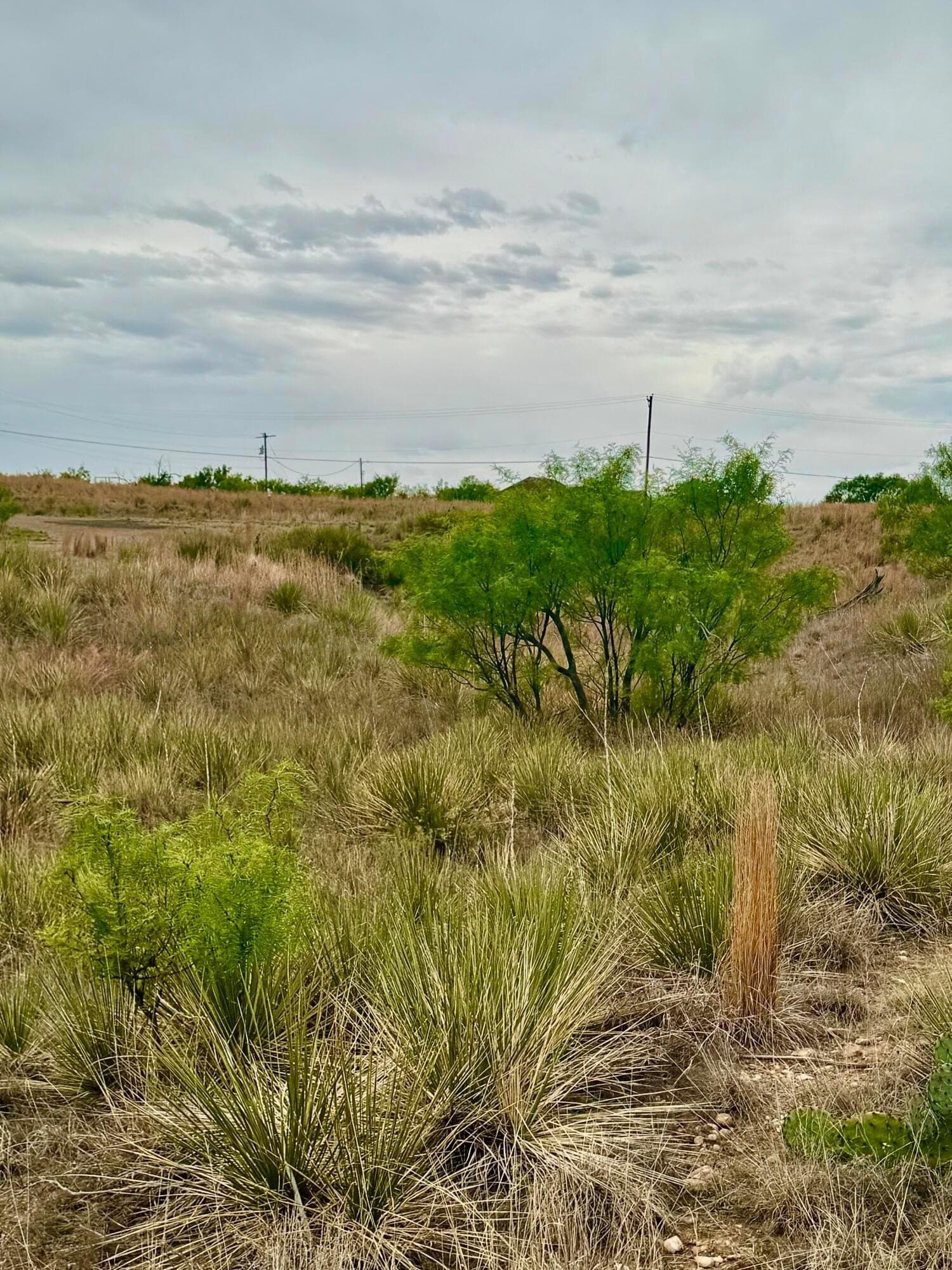 0.36 acres in Hutchinson County gallery image 3