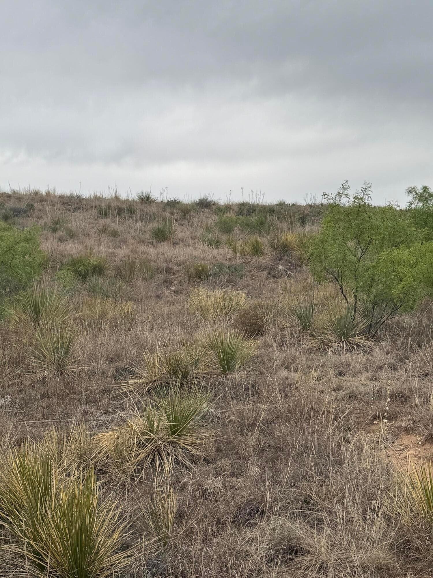 0.36 acres in Hutchinson County gallery image 2