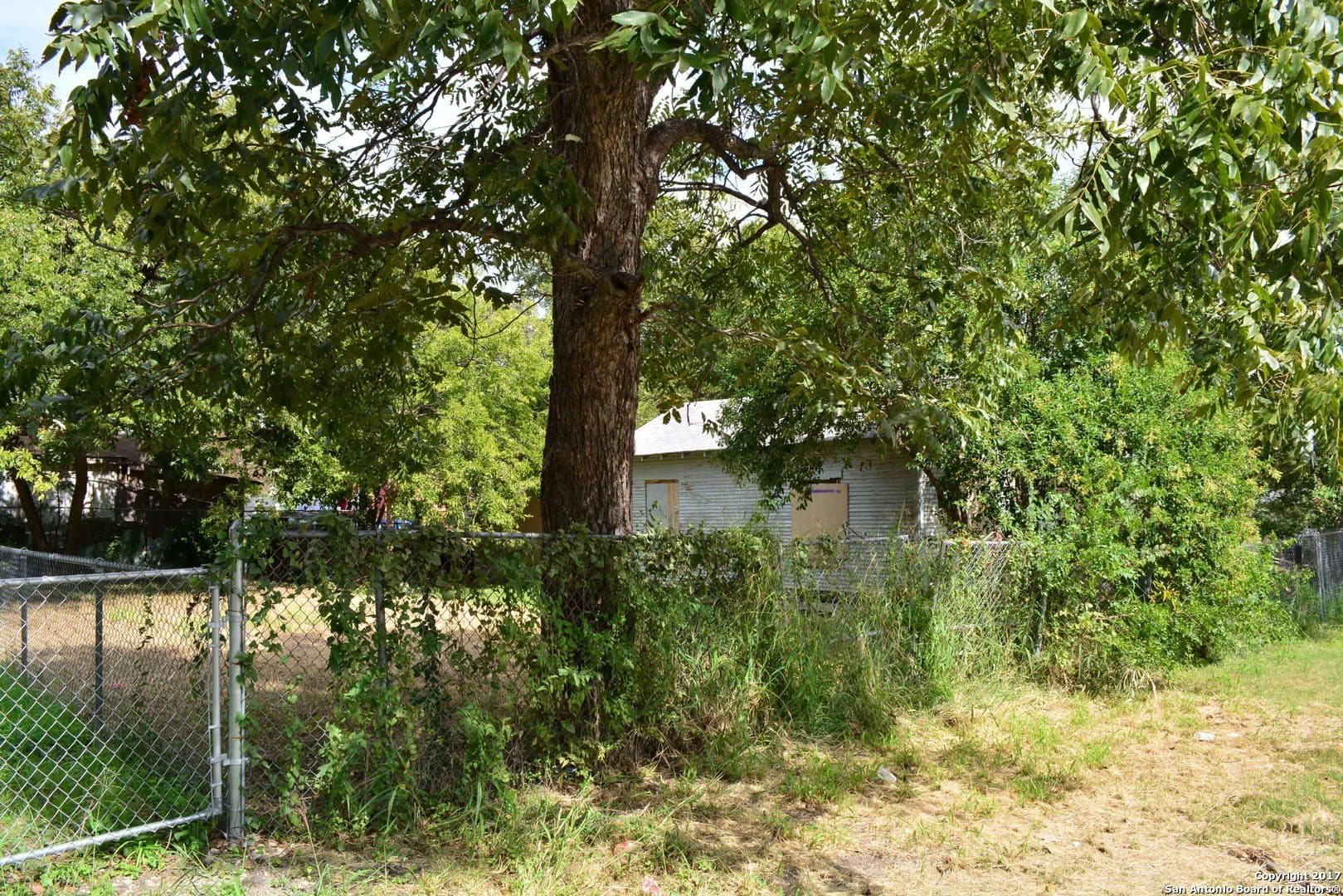 0.05 acres in Bexar County gallery image 3