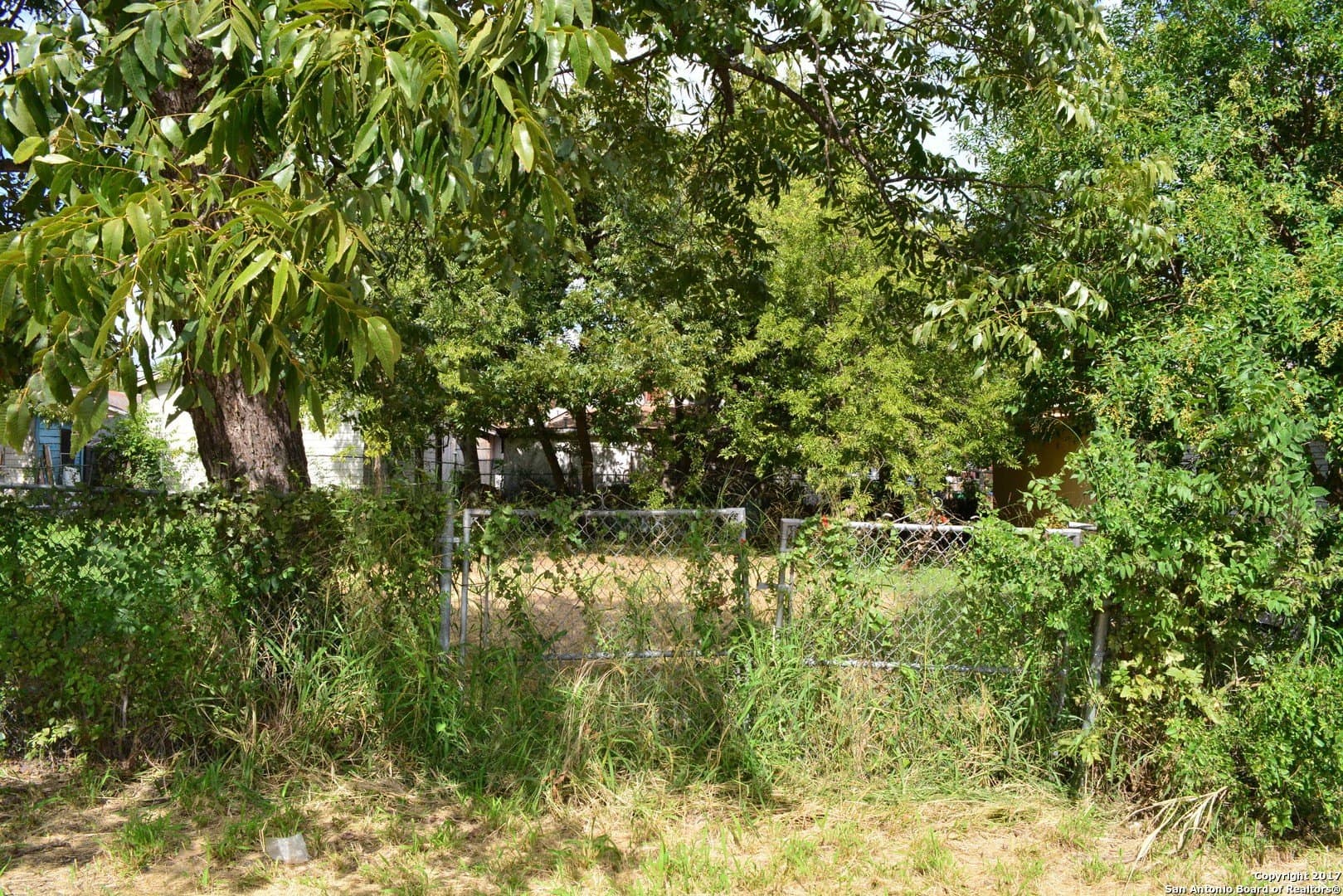 0.05 acres in Bexar County gallery image 4