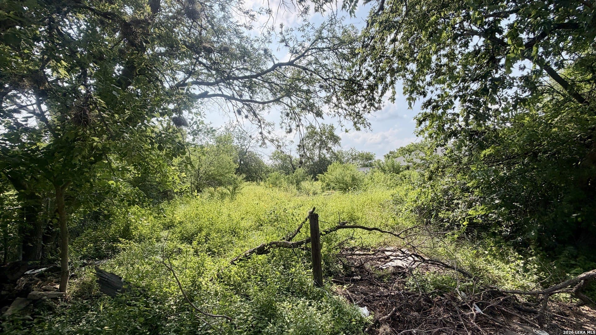 0.1 acres in Bexar County gallery image 2