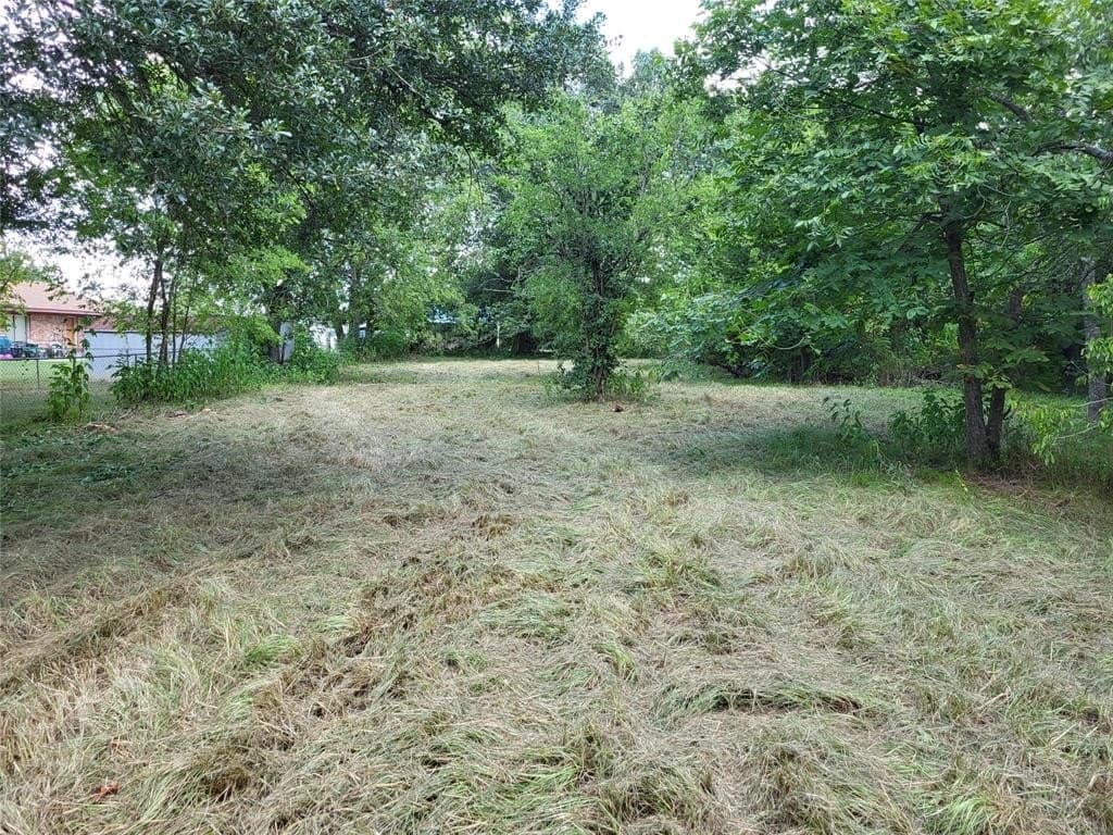 1.11 acres in Limestone County gallery image 4