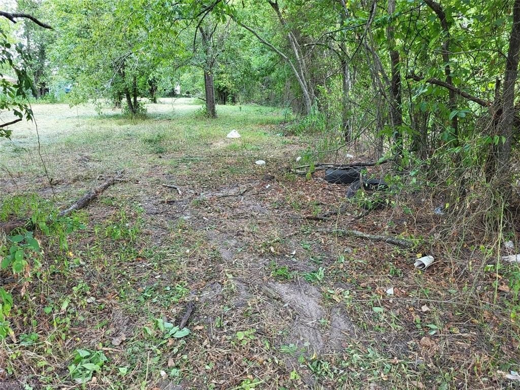 1.11 acres in Limestone County gallery image 3