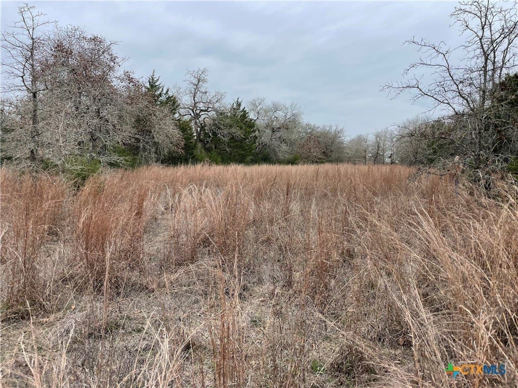 13.14 acres in Caldwell County gallery image 4