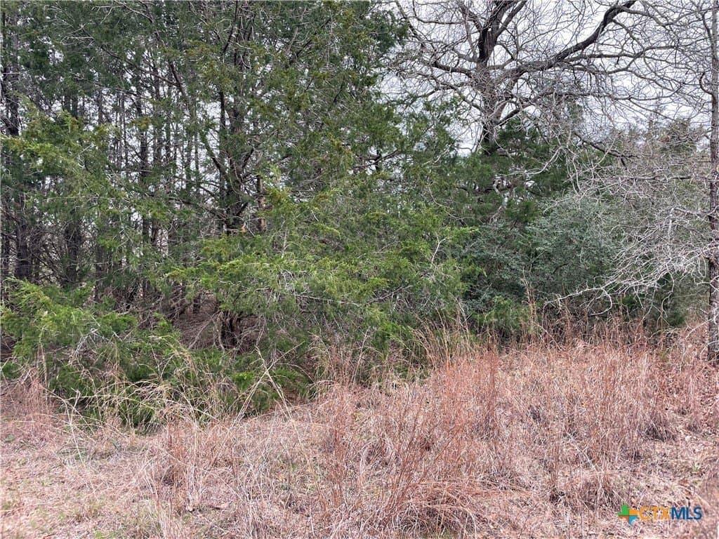 13.14 acres in Caldwell County gallery image 3