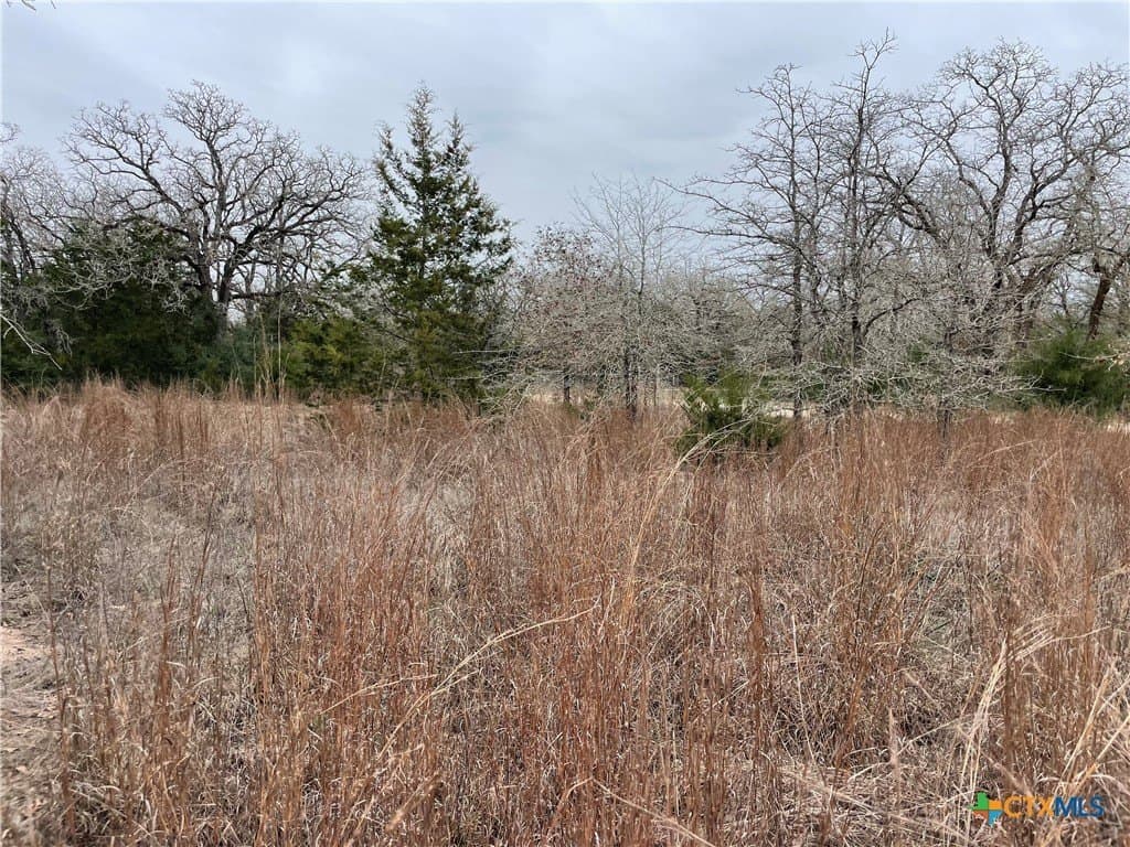 13.14 acres in Caldwell County featured view