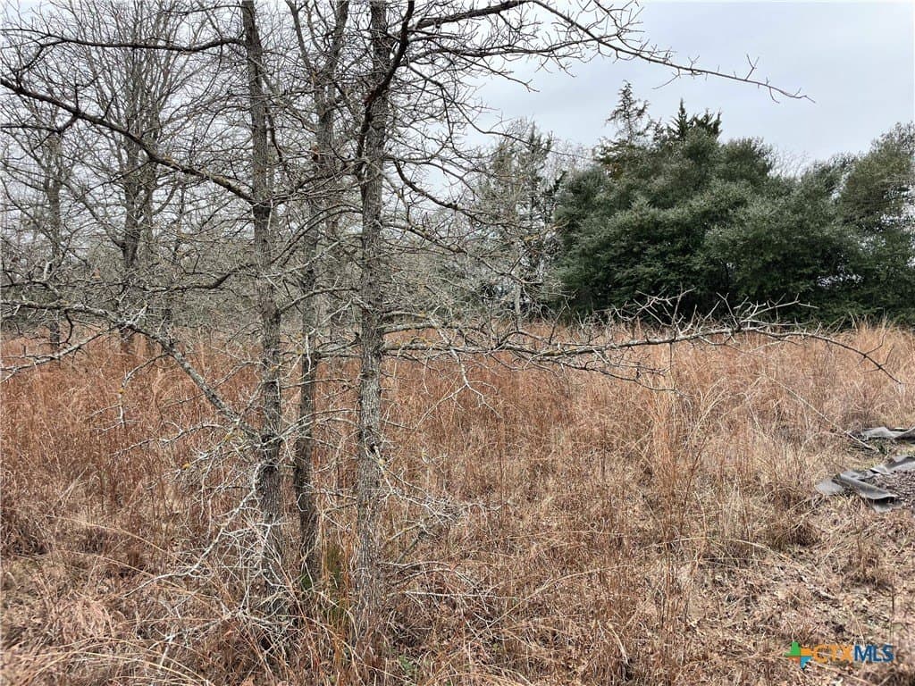 13.14 acres in Caldwell County gallery image 2