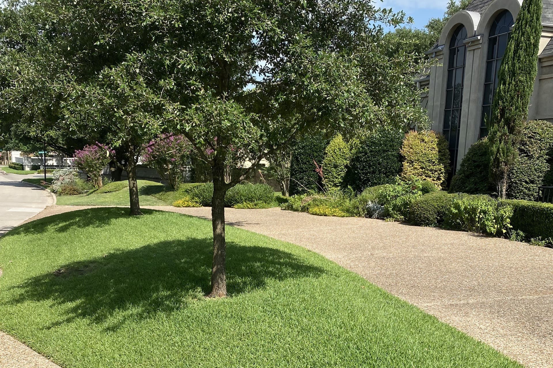 0.81 acres in Dallas County - photo 6