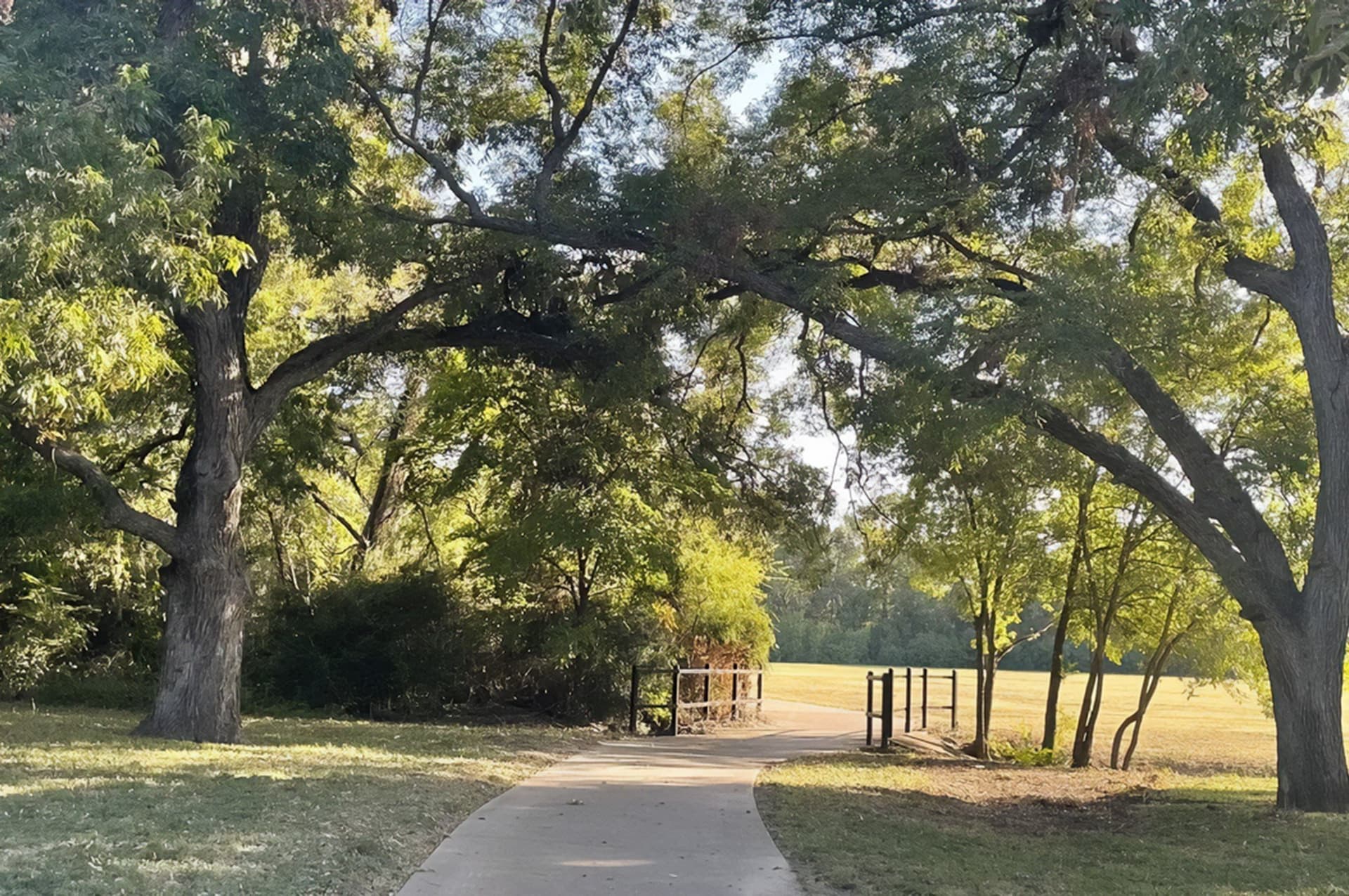 0.81 acres in Dallas County - photo 18