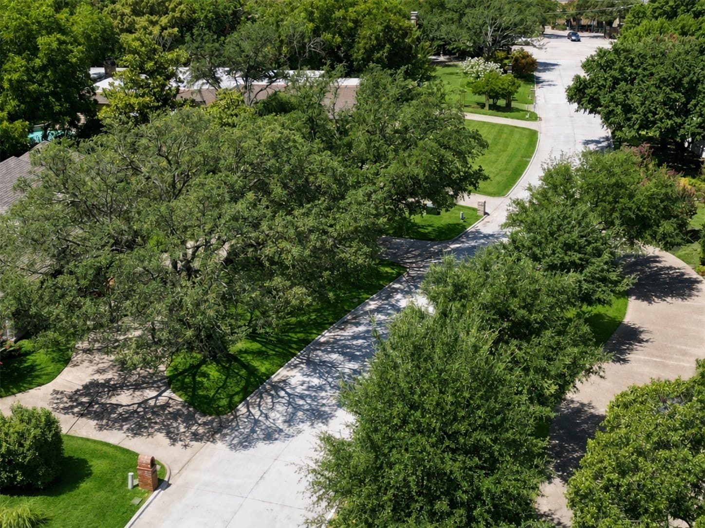 0.81 acres in Dallas County - photo 20