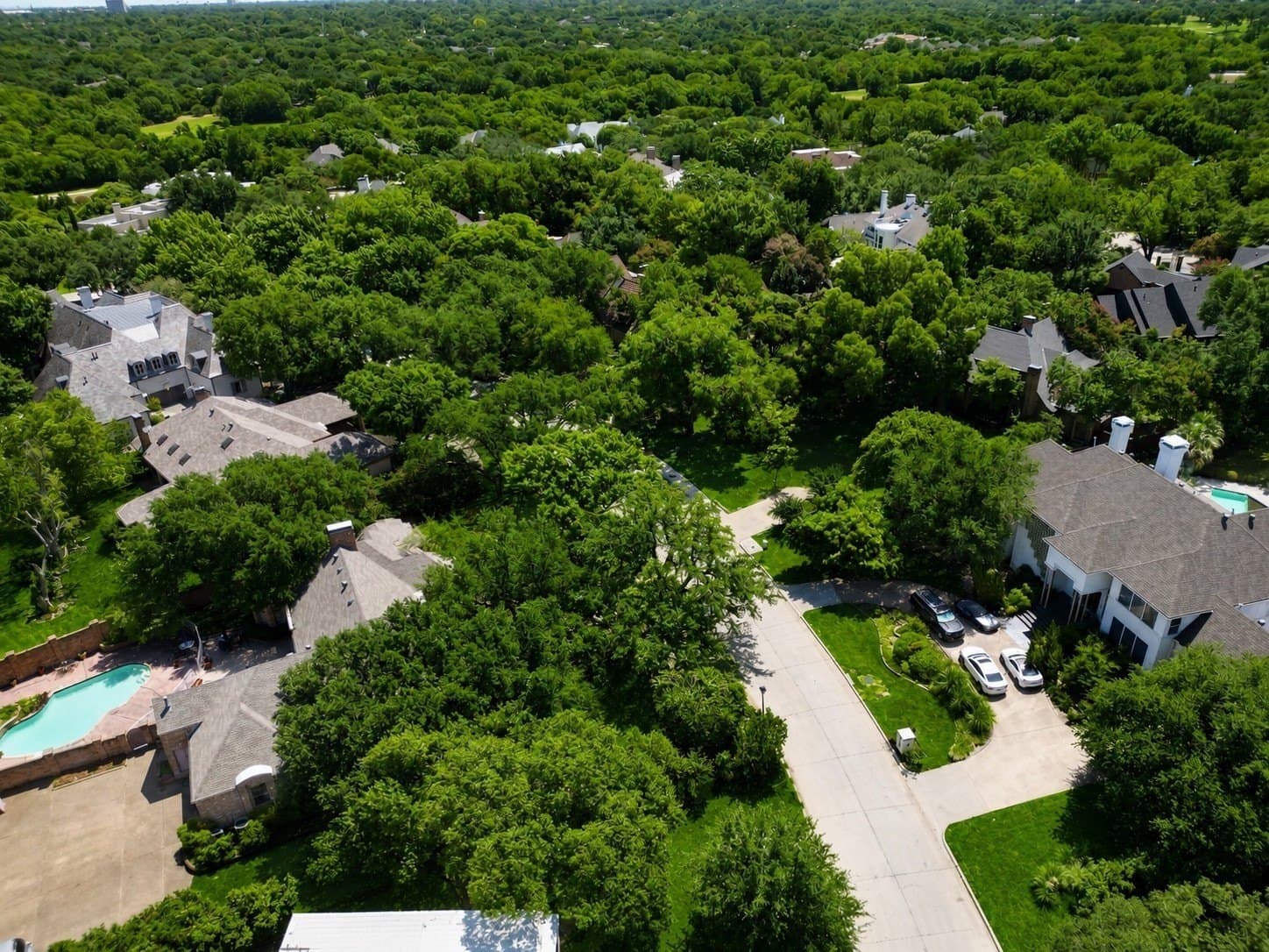 0.81 acres in Dallas County - photo 21