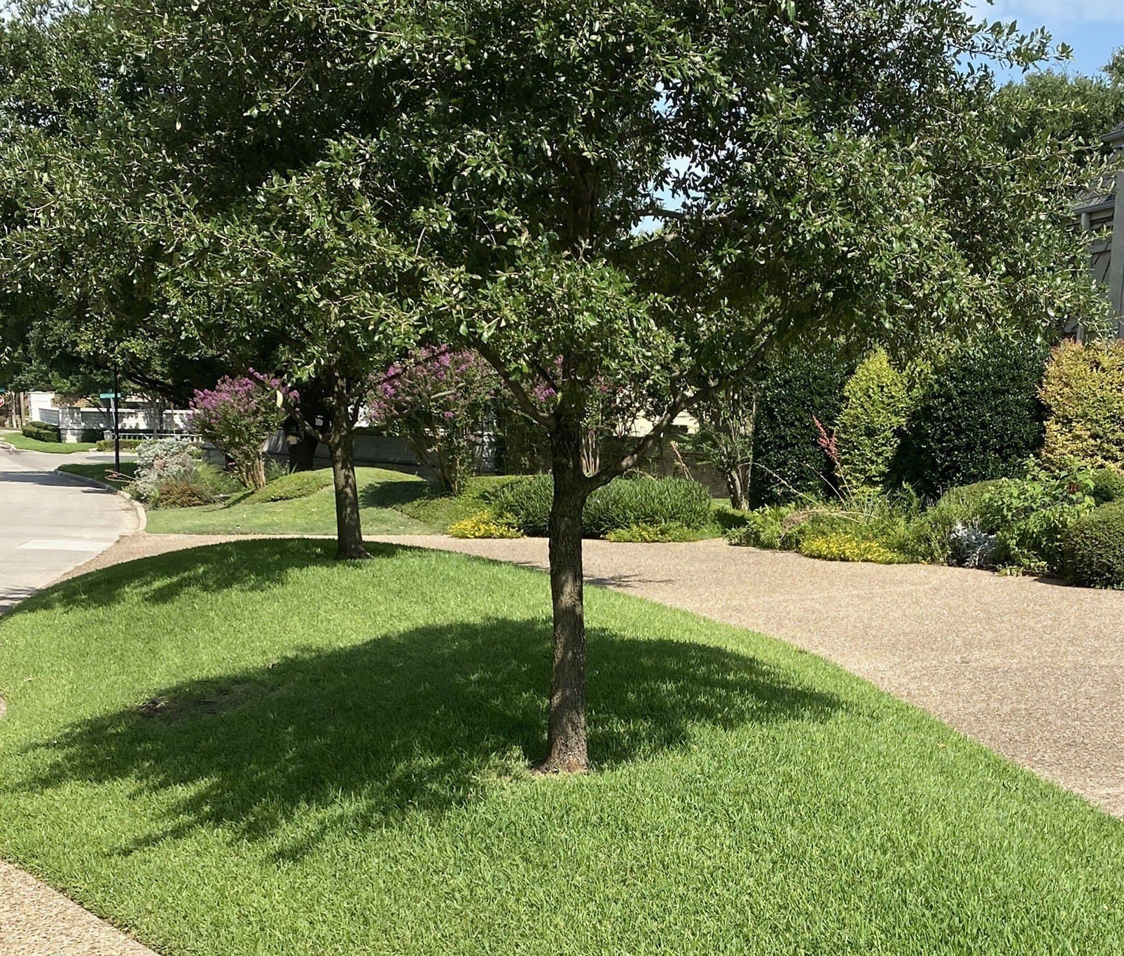 0.81 acres in Dallas County - photo 7