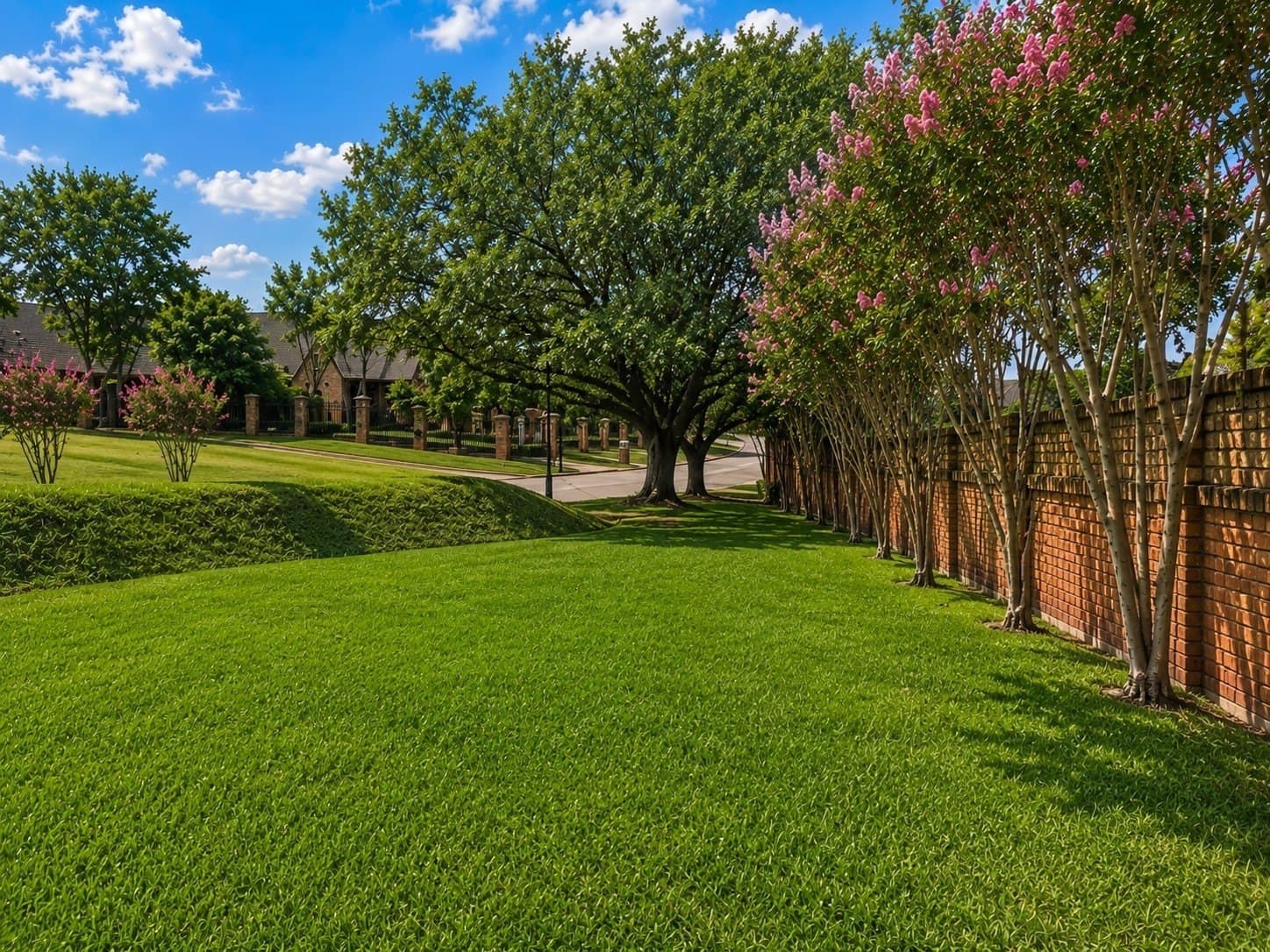 0.81 acres in Dallas County - photo 19