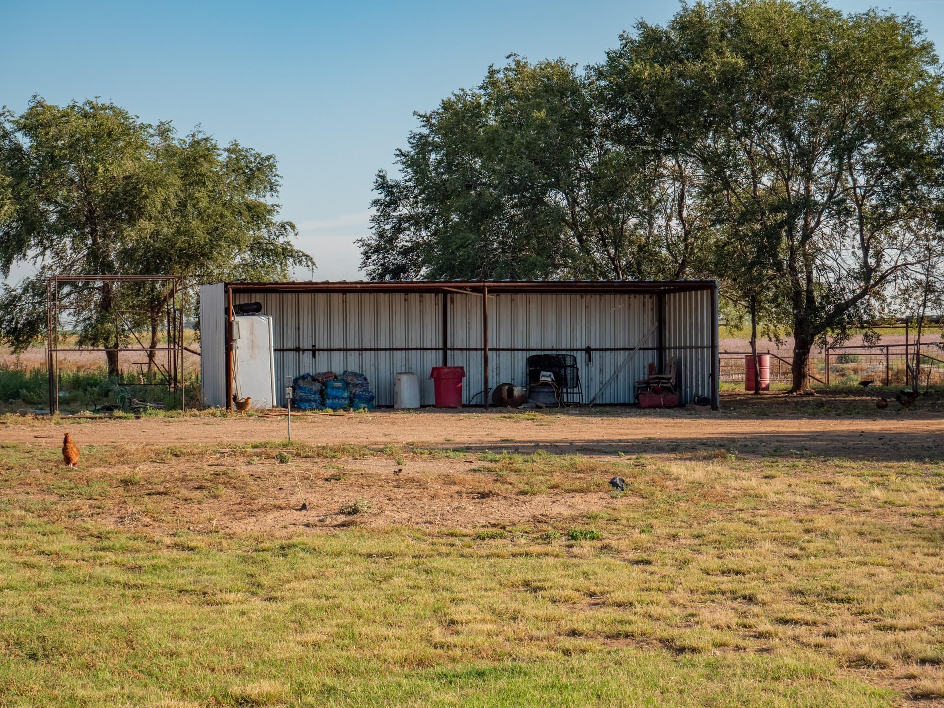 19 acres in Garza County gallery image 3