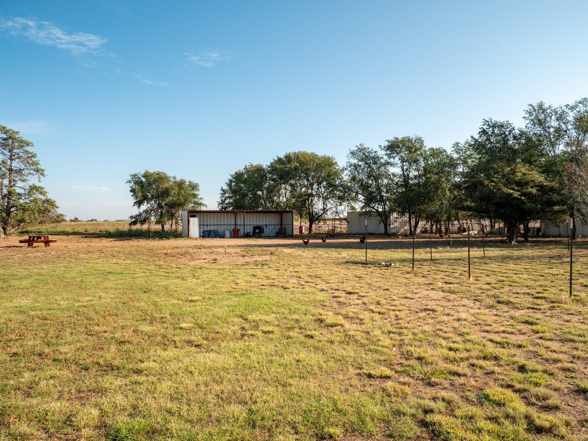 19 acres in Garza County featured view
