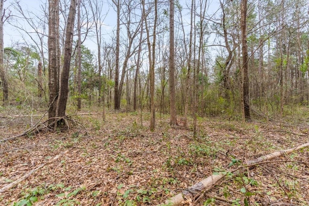 5.09 acres in Texas County - photo 15