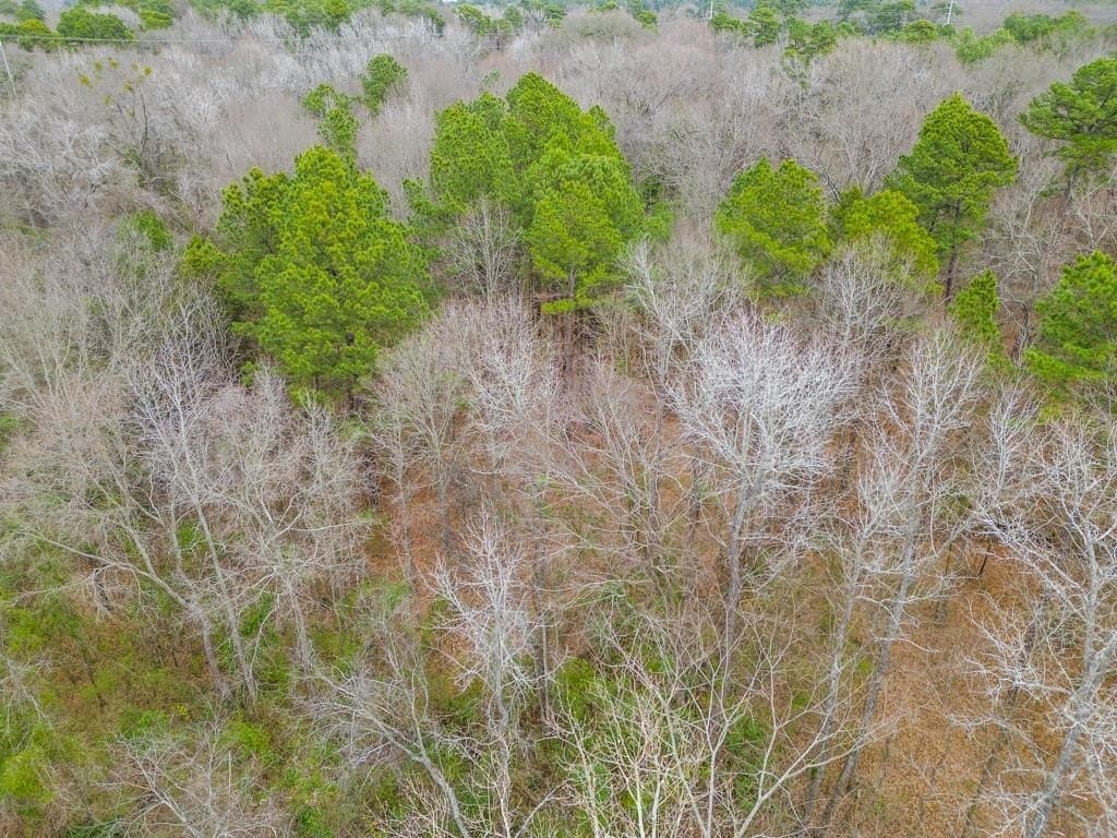 5.09 acres in Texas County - photo 19