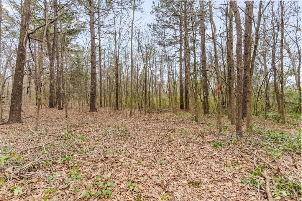 5.09 acres in Texas County - photo 16