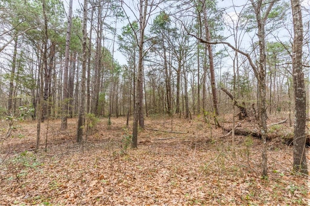 5.09 acres in Texas County - photo 17