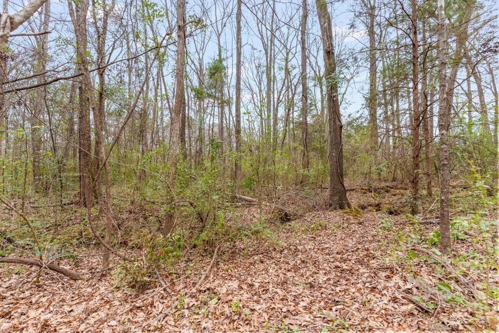 5.09 acres in Texas County - photo 14