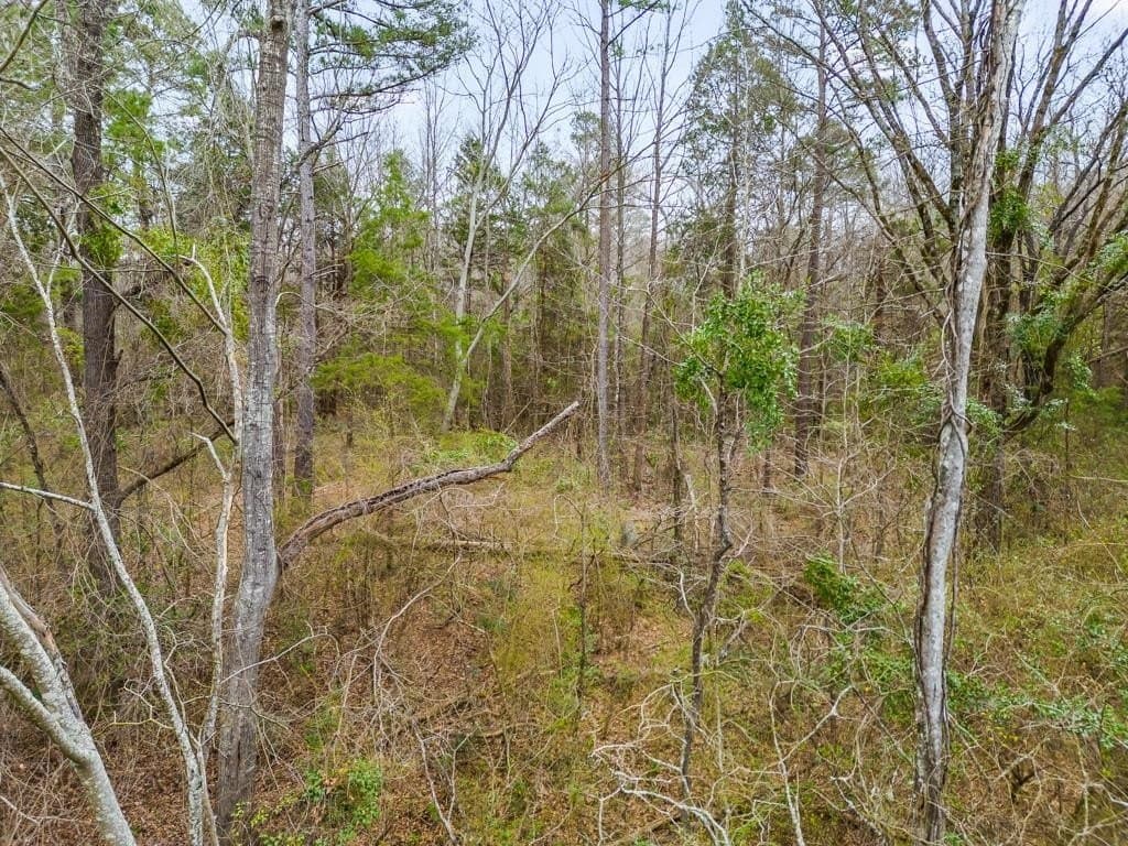 5.09 acres in Texas County - photo 8