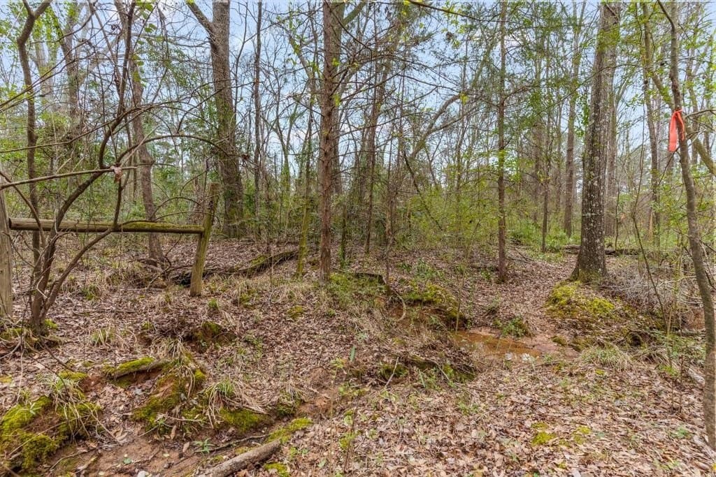 5.09 acres in Texas County - photo 12