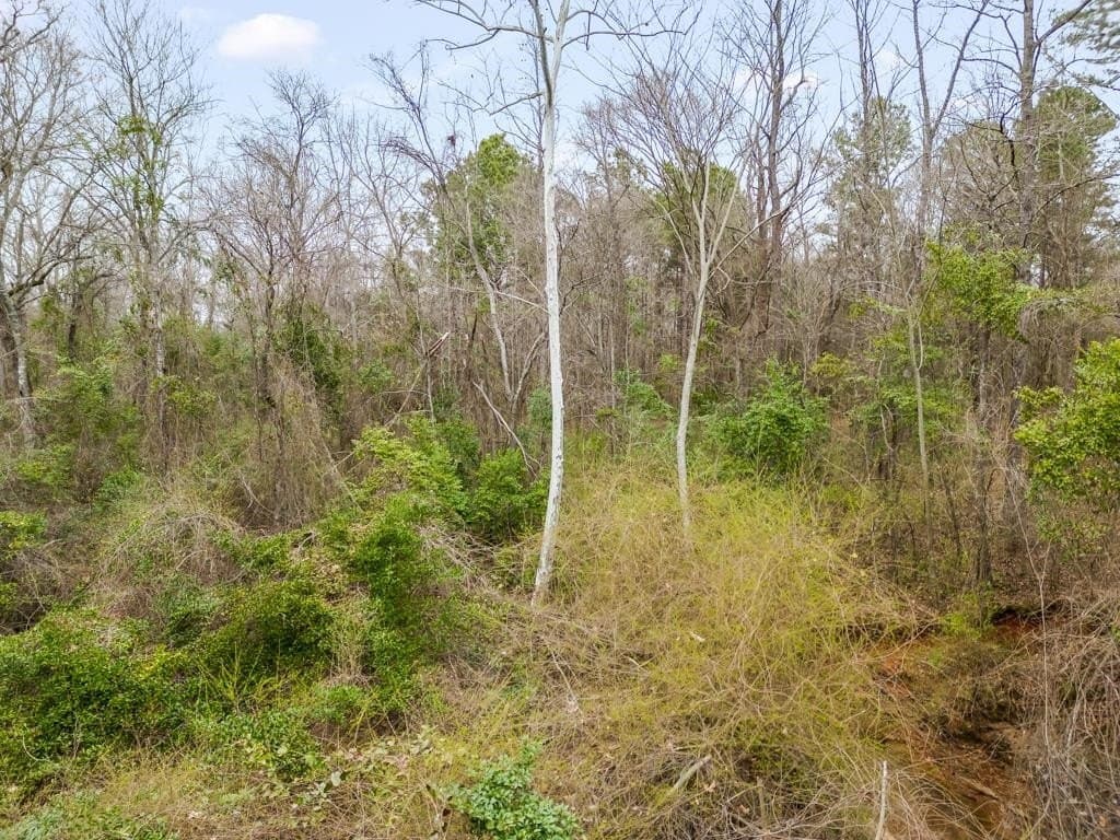 5.09 acres in Texas County - photo 18