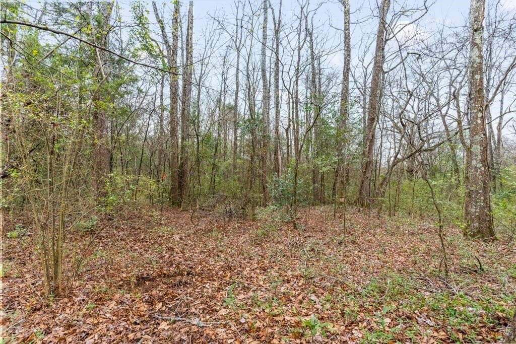 5.09 acres in Texas County - photo 11