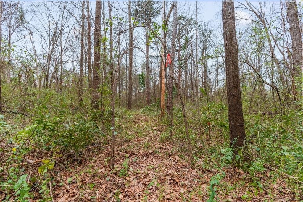 5.09 acres in Texas County - photo 13