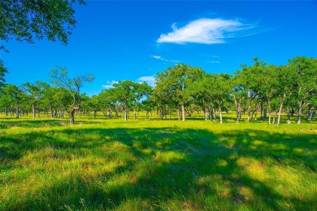24 acres in Blanco County - photo 9