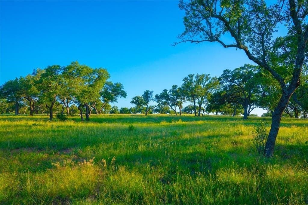 24 acres in Blanco County - photo 12