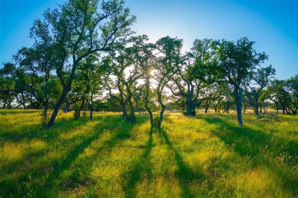 24 acres in Blanco County - photo 6